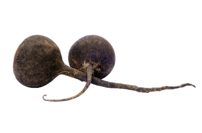 Image de Radis rouge - (250g)