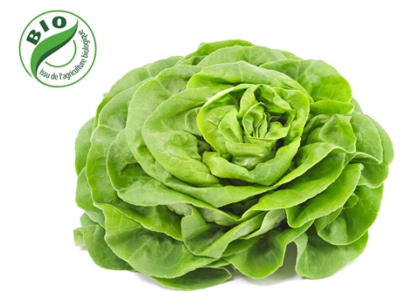 Image de Salade Sucrine - (300g)