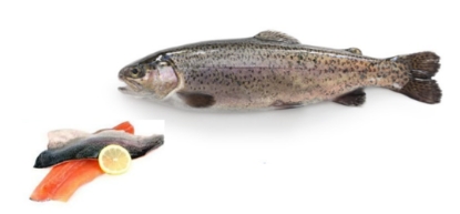 Image de Truite - Filet désarêté (Au Kg)