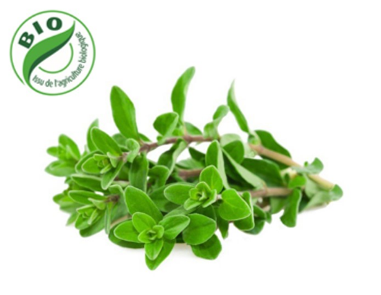 Image de Origan - (100g)