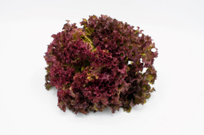 Image de Salade Rouge - (300g)